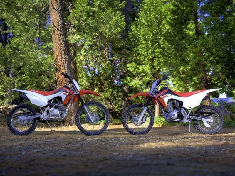 2014 Honda CRF125F