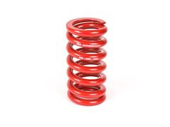 Shock Spring