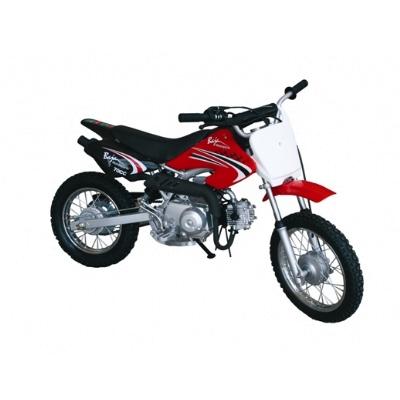 Baja Motorsports Chinese Pit Bike