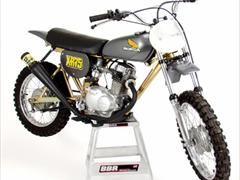 1974 DG mono-shock XR75.