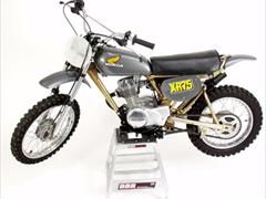 1974 DG mono-shock XR75